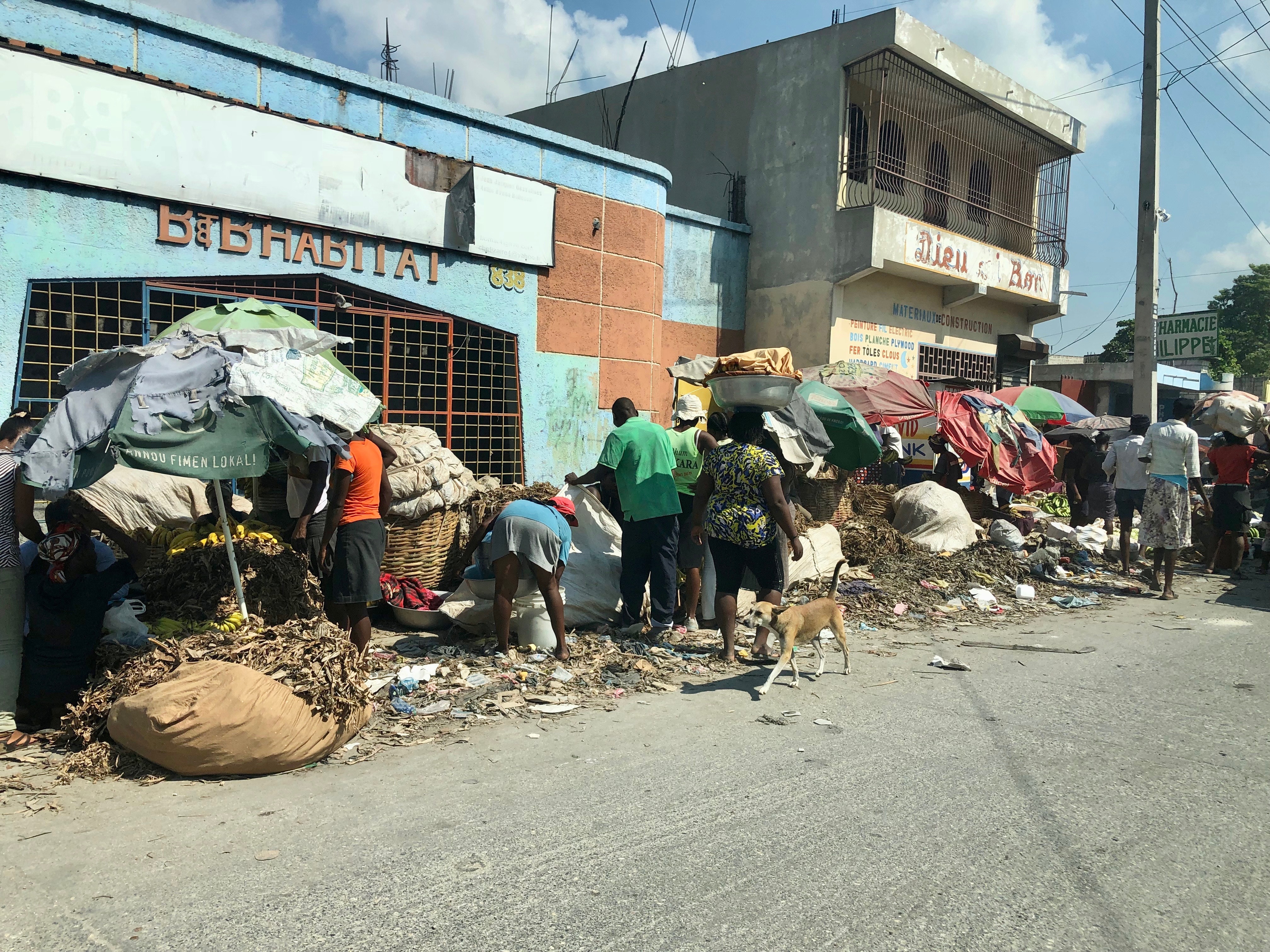Investing in people to fight poverty in haiti essays do coyote vests work