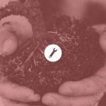 Gardening - Serve the City Berlin 2019