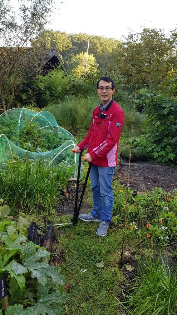 Volunteer doing gardening work 