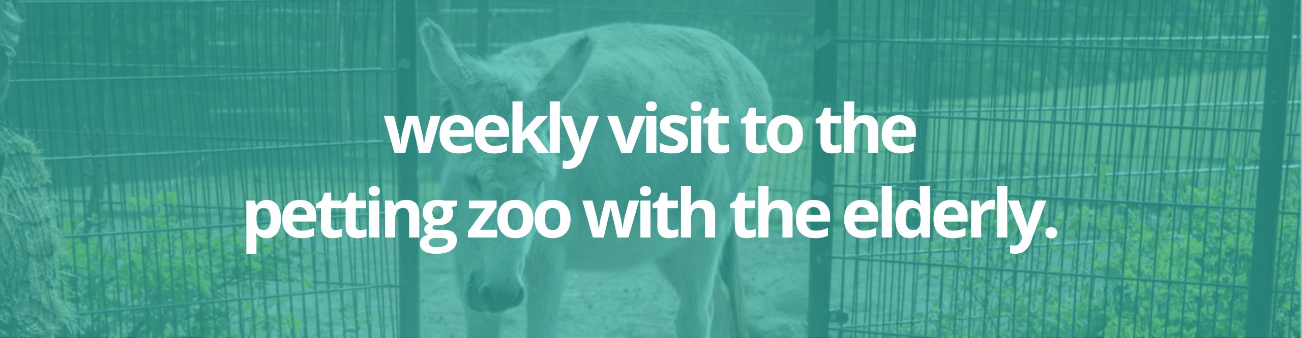 banner_petting_zoo_elderly