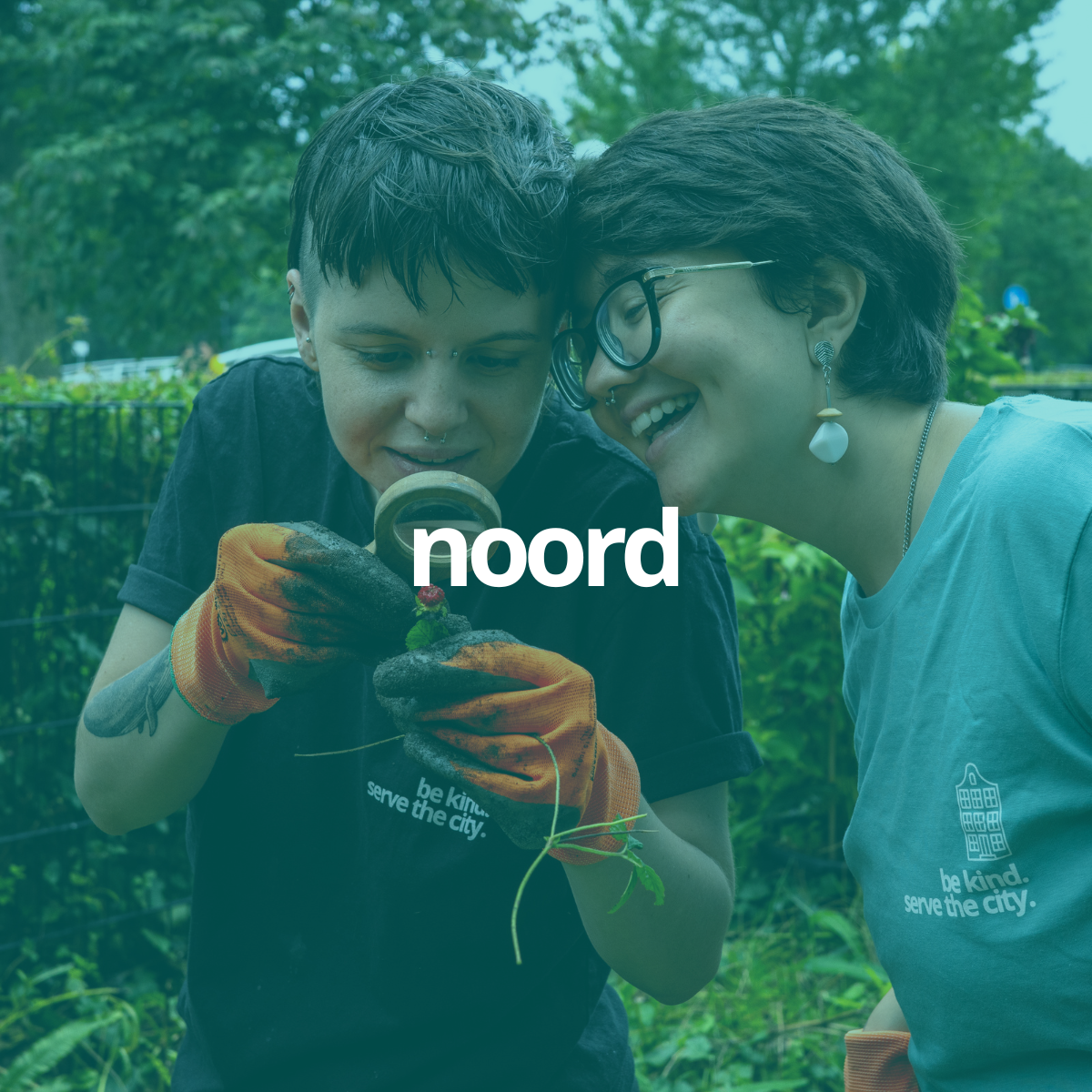 vrijwilligerswerk in noord