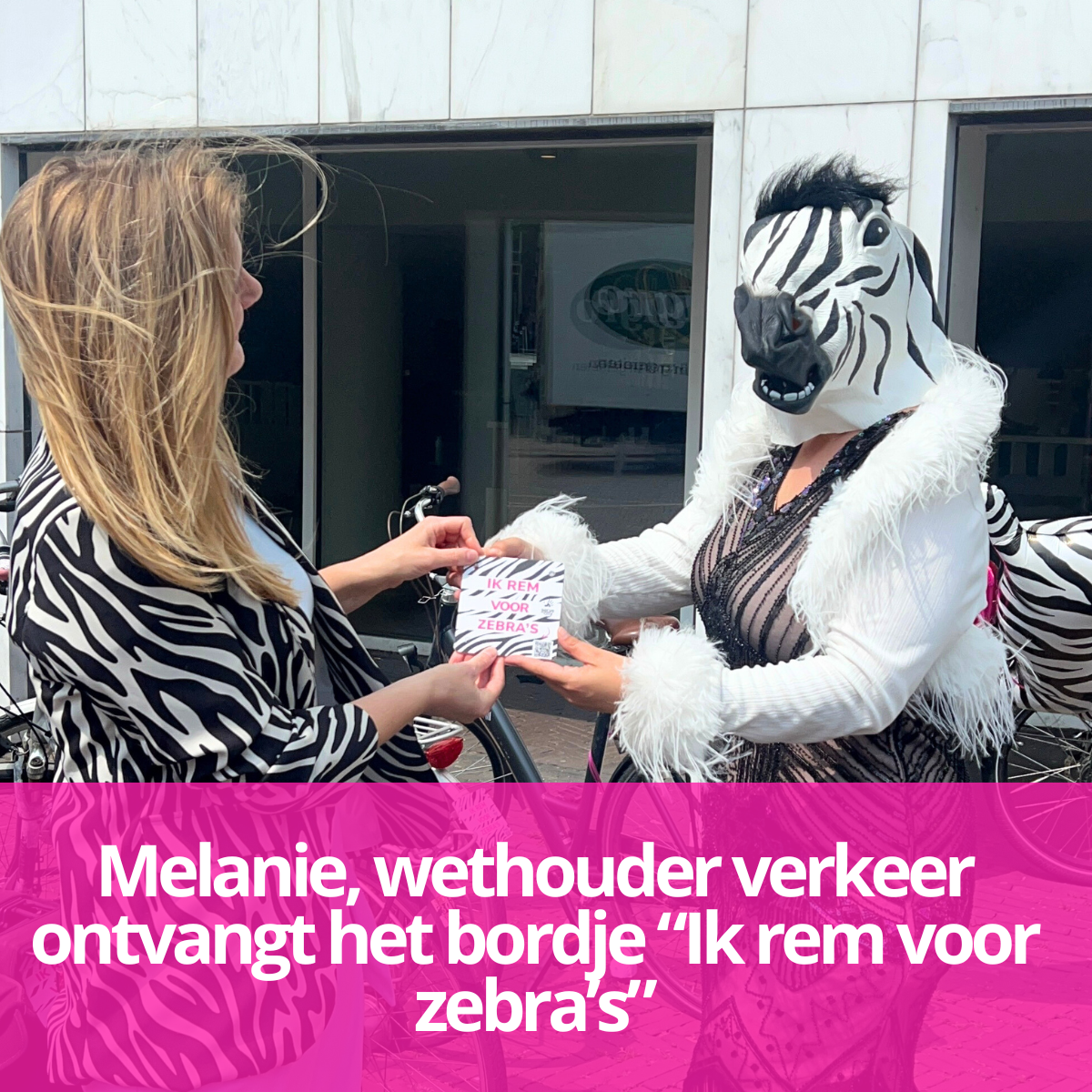 ik rem voor zebra's