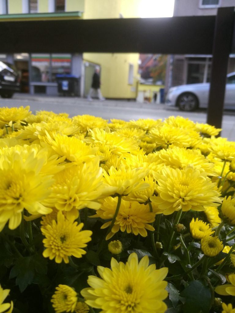 Wir gärtnern die Deisterstraße entlang – Blumen für den Kiez!
