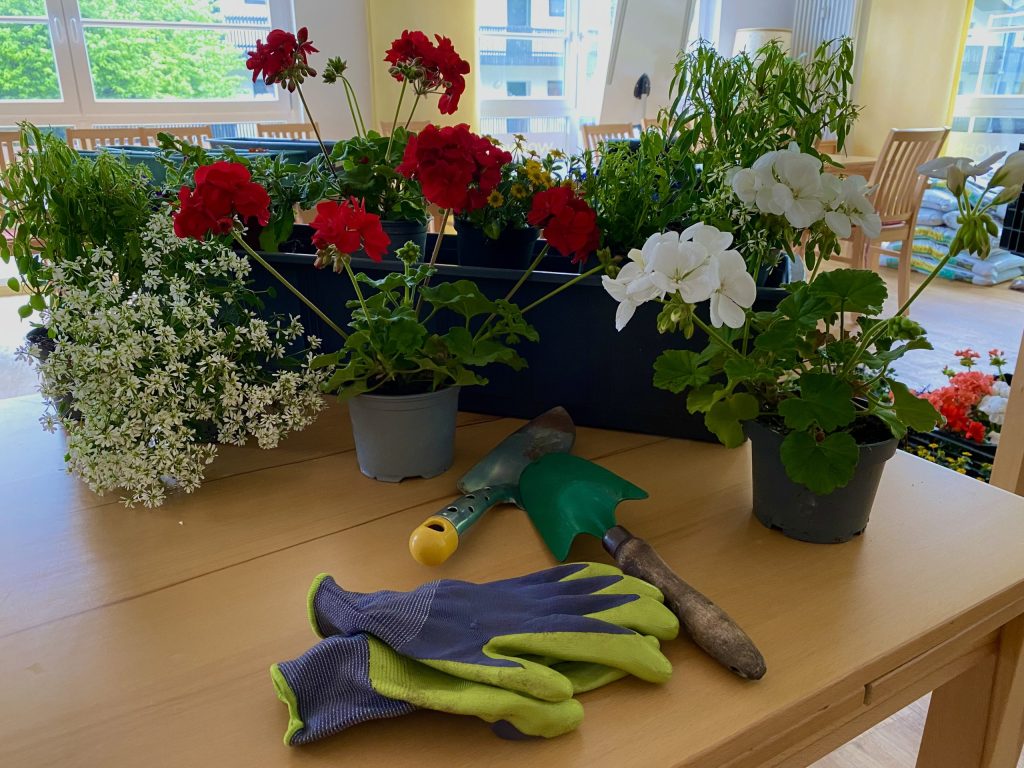 Mit grünen Daumen & Gartenschaufel den Sommer pflanzen auf den Balkonen der Seniorenwohnanlage Pfarrlandstraße.