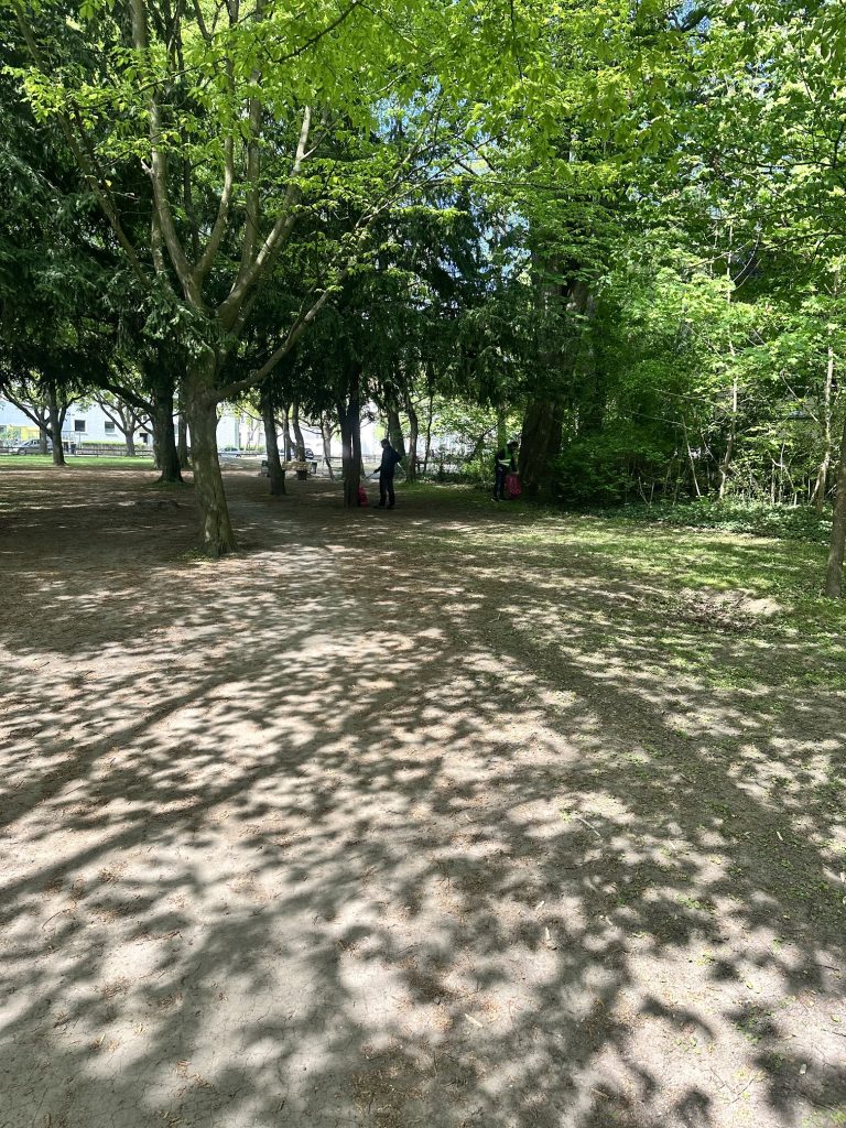 Wir wollen zusammen Kippen sammeln.