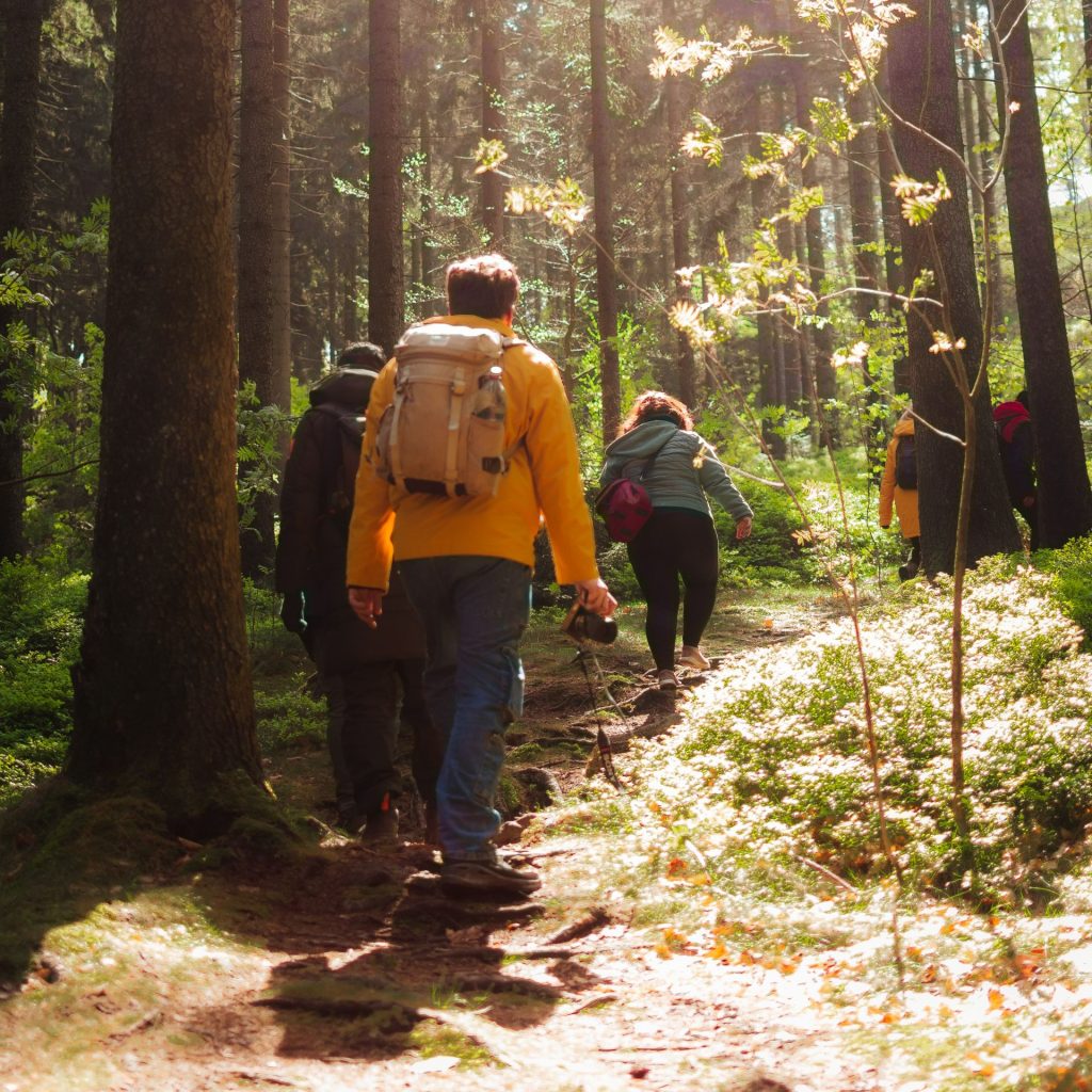 In Gedenken an Jane Goodall, wollen wir gemeinsam, von Badenstedt zum Benther Berg gehen und uns über Themen, die uns bewegen, austauschen.