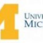 M university of michigan paris